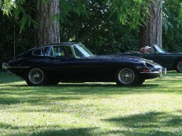 JAGUAR E TYPE FHC 